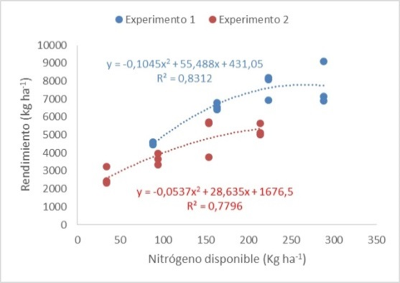 Experimento